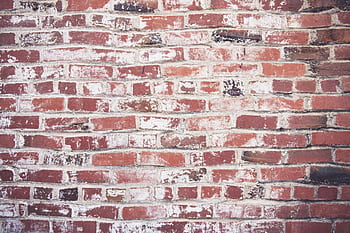 Detailed texture of a weathered red brick wall perfect for use as a background or . HD wallpaper