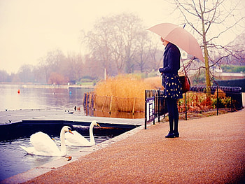 lOnely GiRL, sunshine, girl, swan, lonely HD wallpaper