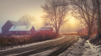 Winter Morning At The Farm, trees, barn, road, snow, landscape HD wallpaper