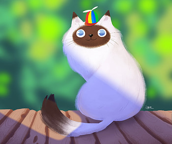 fantasy, cat HD wallpaper