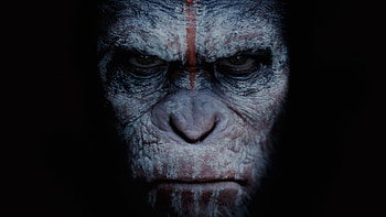 Planet of the Apes, Dawn film, 28366 HD wallpaper