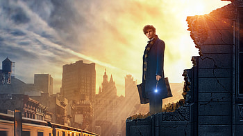 Fantastic Beasts, , Background , Magical creatures HD wallpaper