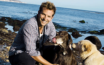 Bradley Cooper, High-definition background, , A-list actor HD wallpaper