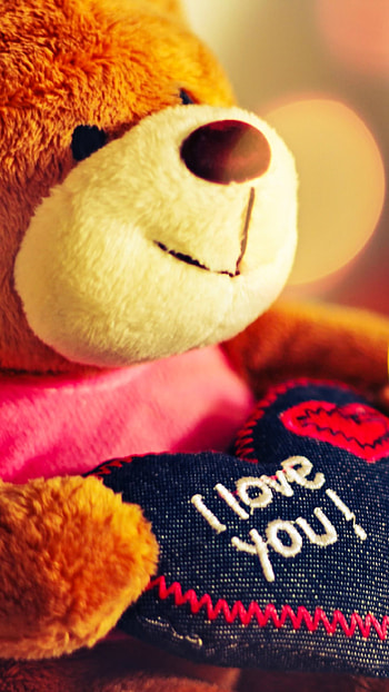 Teddy Bear Ka, I Love You, Valentines Day HD phone wallpaper