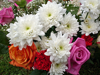 Flowers, Roses, Chrysanthemum, Bouquet, Gypsophilus, Gipsophile, Carnation HD wallpaper