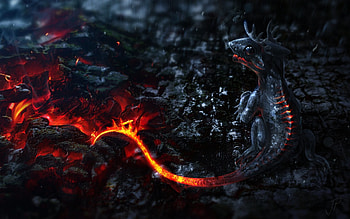 lava little dragon HD wallpaper