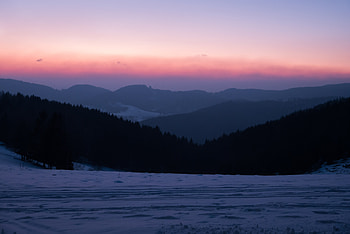 Trees, landscape, sunset, beautiful, skyline HD wallpaper