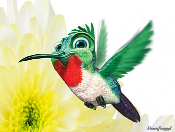 HAPPY HUMMINGBIRD, ART, ABSTRACT, HUMMING BIRD, HAPPY HD wallpaper