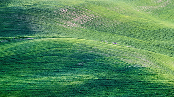 Aerial View Of Landscape Green Grass Hill Slope Nature Background Nature HD wallpaper