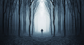 Walking Alone In Dappled Sunlight Forest Covered By Trees , alone, artist, artwork, digital-art HD wallpaper