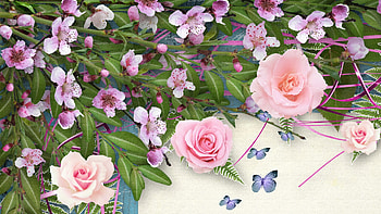 Sakura Simplicity, butterflie, roses, firefox persona, spring, summer, butterflies, pink, sakura, cherry blossoms HD wallpaper