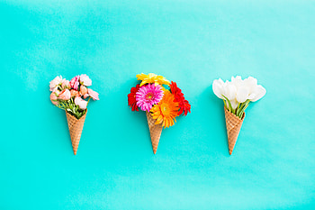 Floral Cones All In A Row HD wallpaper