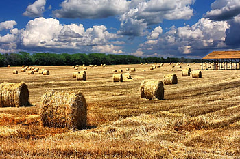 Landscape, blue sky, fields, nature HD wallpaper