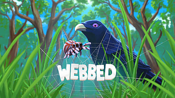 Bowerbird Spider Webbed HD wallpaper