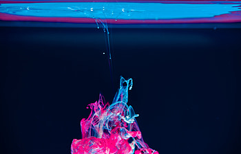Pink, Macro, Paint, Liquid HD wallpaper