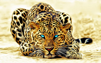 Animals, Leopards HD wallpaper