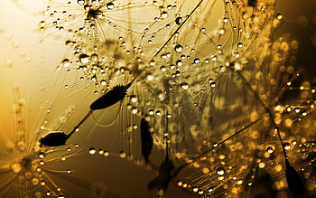 Spray, amazing, water, graphy, nice HD wallpaper