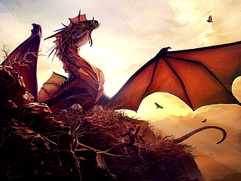 Dragon nest, dragon, sun, nest eggs, man HD wallpaper
