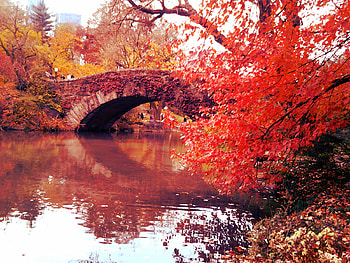 Peaceful autumn day, river, fall, beautiful, lake, leaves, reflection, red, bridge, autumn, sky, water, calm, pond HD wallpaper