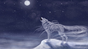 Midnight Howl, artwork, moon, wolf, rock, digital HD wallpaper