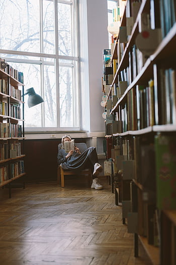 Woman reading a book in a peaceful library filled with natural light. HD phone wallpaper