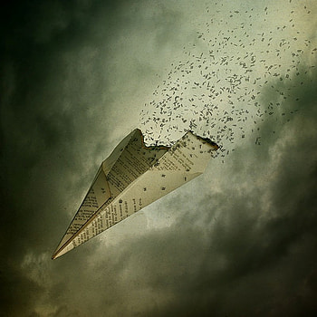 Truth, word, thinking, plane, , paper HD wallpaper