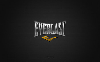 Everlast logo, silver shiny logo, Everlast metal emblem, gray carbon fiber texture, Everlast, brands, creative art, Everlast emblem HD wallpaper