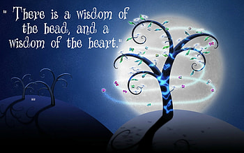 Wisdom, Dark, Trees, Sayings, Nature, Forests, Quotes, Thoughts, Words HD wallpaper