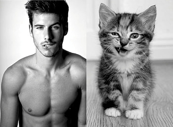 :-), kitten, animal, white, black, man, bw, cat, collage, pisica, funny HD wallpaper