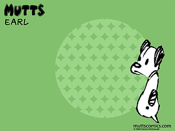 Earl , mutts HD wallpaper