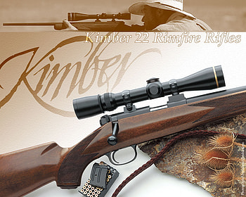 COOL GUN , action, fast, , cool, beautiful, amazing, death, nice HD wallpaper