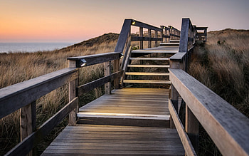 Nature, Ladder, Stairs, Steps, Handrail, Railings, Planks, Board HD wallpaper