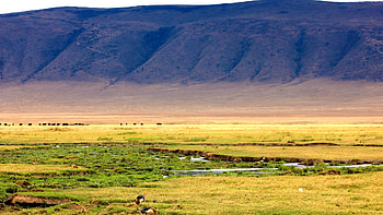 High quality, Ngorongoro Crater , Full , , Mobile, Tablet HD wallpaper