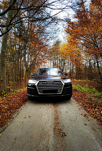 Audi Q7 s-line, s-line, audi, Q7, autumn HD phone wallpaper