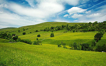 Landscape, Fields HD wallpaper