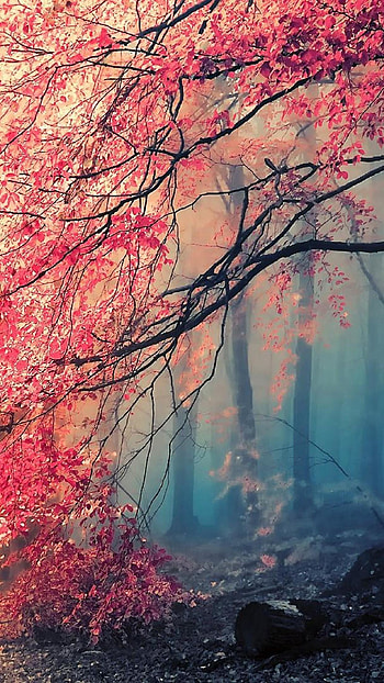 Japan Digital Rain Fall WallDevil HD phone wallpaper
