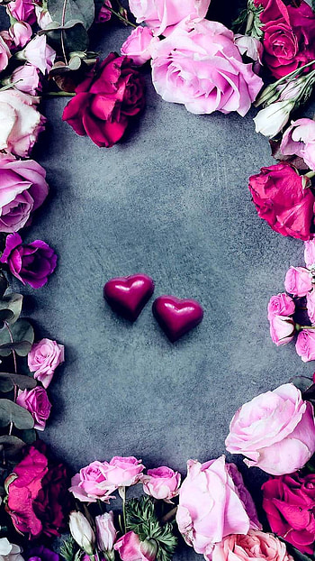 Hearts with Rose Border, heart, flower, artistic, rose HD phone wallpaper