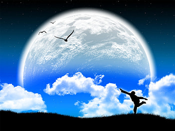 Illusion, birds, abstract, moon, clouds, sky HD wallpaper