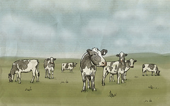 Art, Cows, Drawing, , Meadow, Milk HD wallpaper