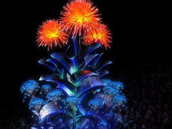 Rising From the Rocks, blue, colorful, plant, flowers, fracta, orange HD wallpaper