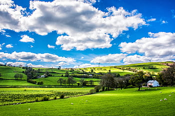 Scenic countryside landscape with green rolling hills, sheep, and a farmhouse under a vibrant blue sky. HD wallpaper