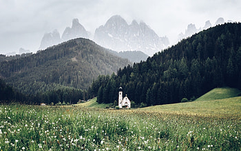 Alps Mountain, Alps, nature, flower, Mountain HD wallpaper