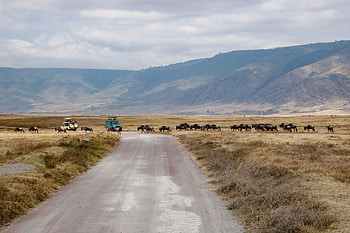 Signature Africa Safaris, Ngorongoro Crater HD wallpaper