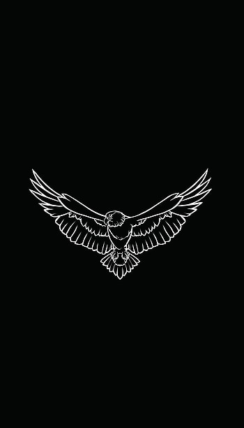 Eagle, ardtun, Kartal, bird HD phone wallpaper