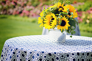Sunny Day , summer, bouquet, vibrant, sunflowers, yellow, garden, nature HD wallpaper