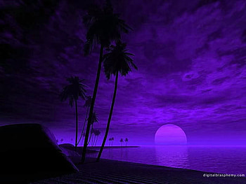 PURPSUNSET. jpg, purple, moon, water, palmtrees HD wallpaper
