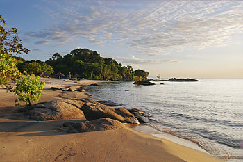 Africa safari, Malawi travels, Elbtravel HD wallpaper