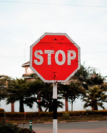 A prominent red stop sign on a city street amidst trees and buildings. HD phone wallpaper