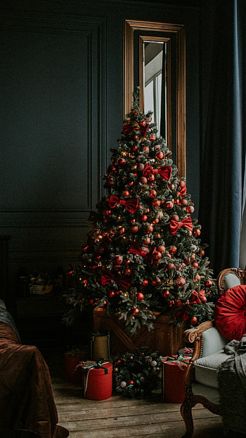 Best Christmas tree , Festive backgrounds, able display, Holiday atmosphere HD phone wallpaper