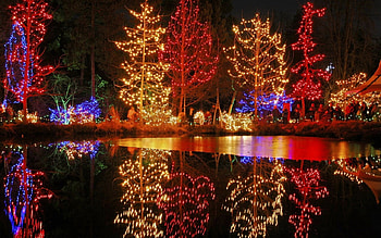 Winter lights on lake, winter, belle, light, various, christmas, beautiful, lovely, lake HD wallpaper